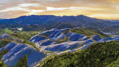 荒漠奇緣 從電廠藍(lán)圖到意外牧場(chǎng)